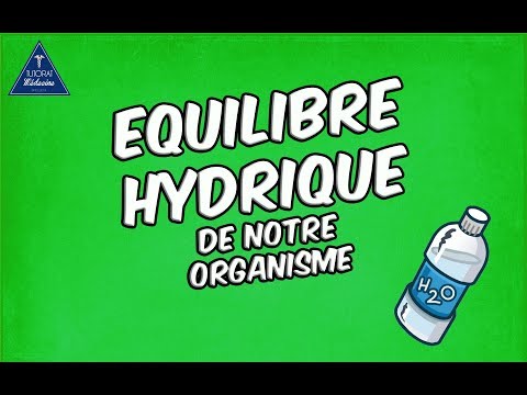 Vidéo: Effet Des Liquides Ioniques Comme Entraîneurs Sur Le Comportement Dynamique Des Colonnes D'extraction éthanol-eau