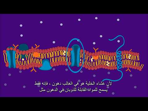 The Cell Membrane غشاء الخلية