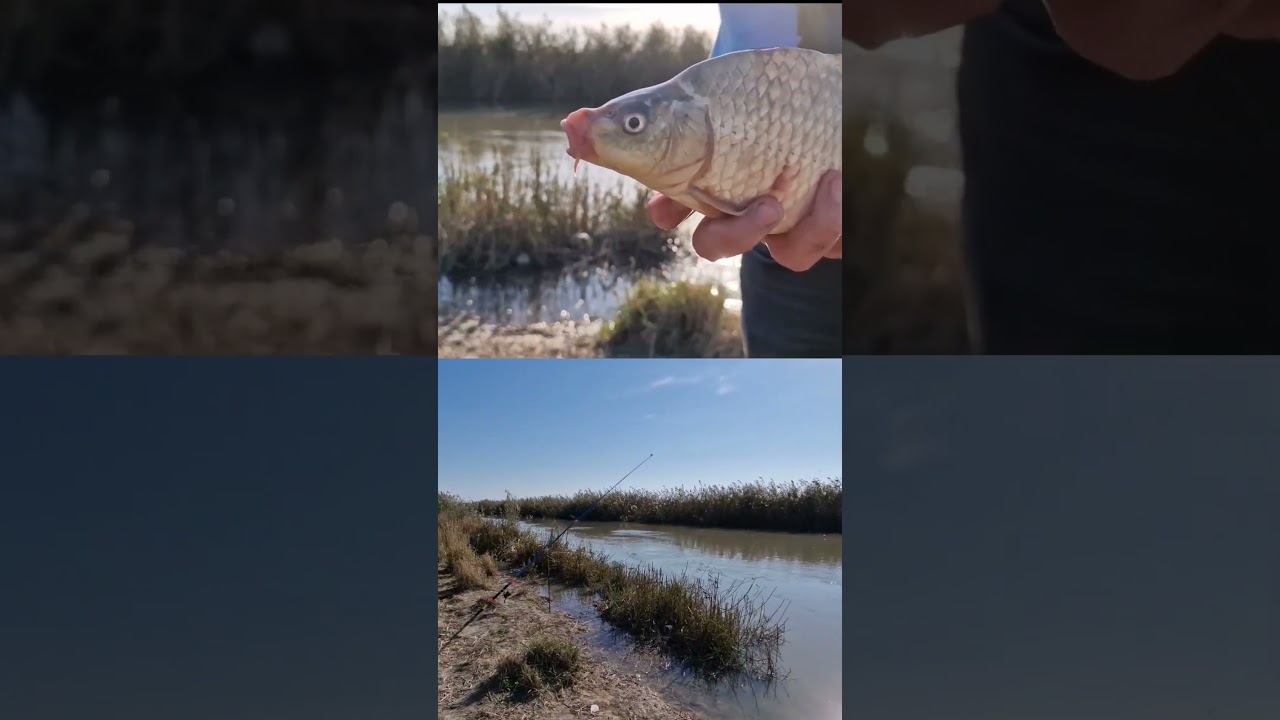 С какой Вы страны рыбаки? Where are you from??