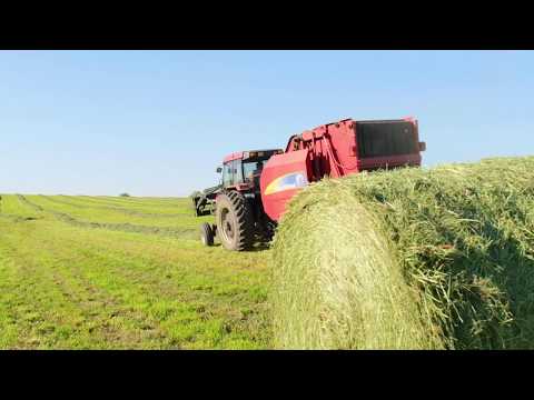 Make Hay When the Sun is Shining | Anchor for Hay | AGNITION