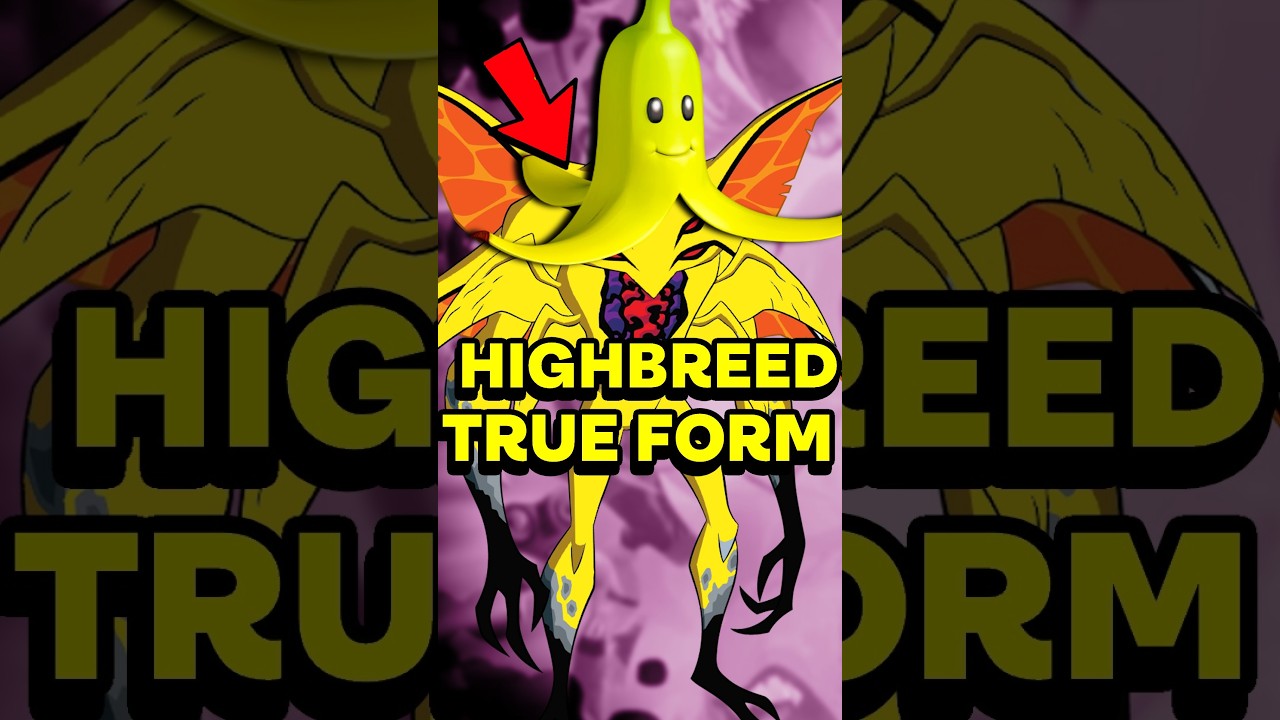 The Highbreed are actually BANANAS!