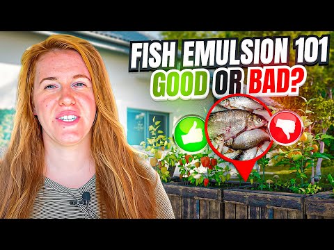 Is Fish Fertilizer Good For Plants? Is Fish Emulsion A Complete Fertilizer? Soil Scientist Explains