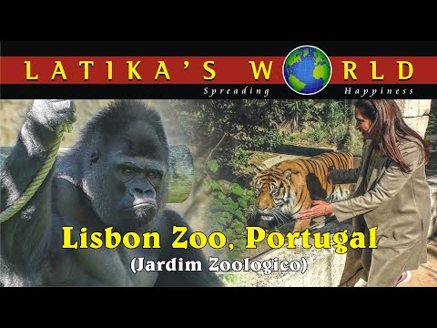 Video: Lisbon Zoo (Jardim Zoologico de Lisboa) description and photos - Portugal: Lisbon