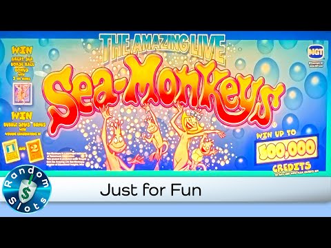 The Amazing Live Sea Monkeys Slot Machine Bonus