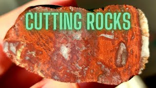 THERE'S BEAUTY IN EVERY ROCK | Cutting Rocks #10