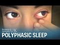 I slept 4.5 hours a night following a polyphasic sleep routine