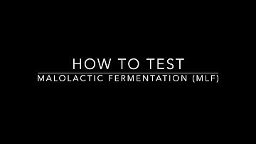 How To: Test Malolactic Fermentation (MLF)