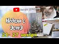 Вышивка / Вышивальная неделя с Эстэ / 21-27 ноября