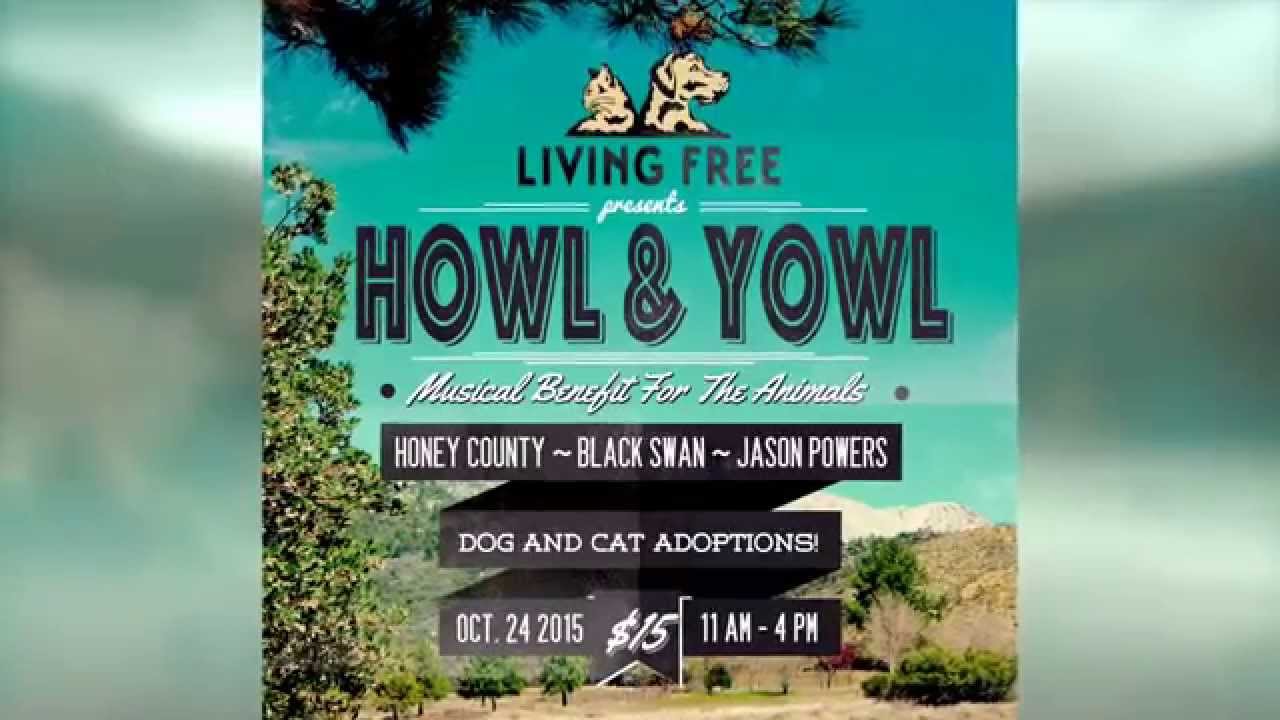 camera iphone 8 plus apk Howl & Yowl - Benefit For The Animals! Oct. 24