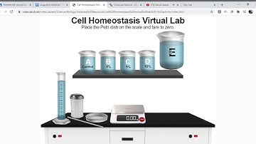 Cell Homeostasis Virtual Lab Activity Speedrun WR (4:24)