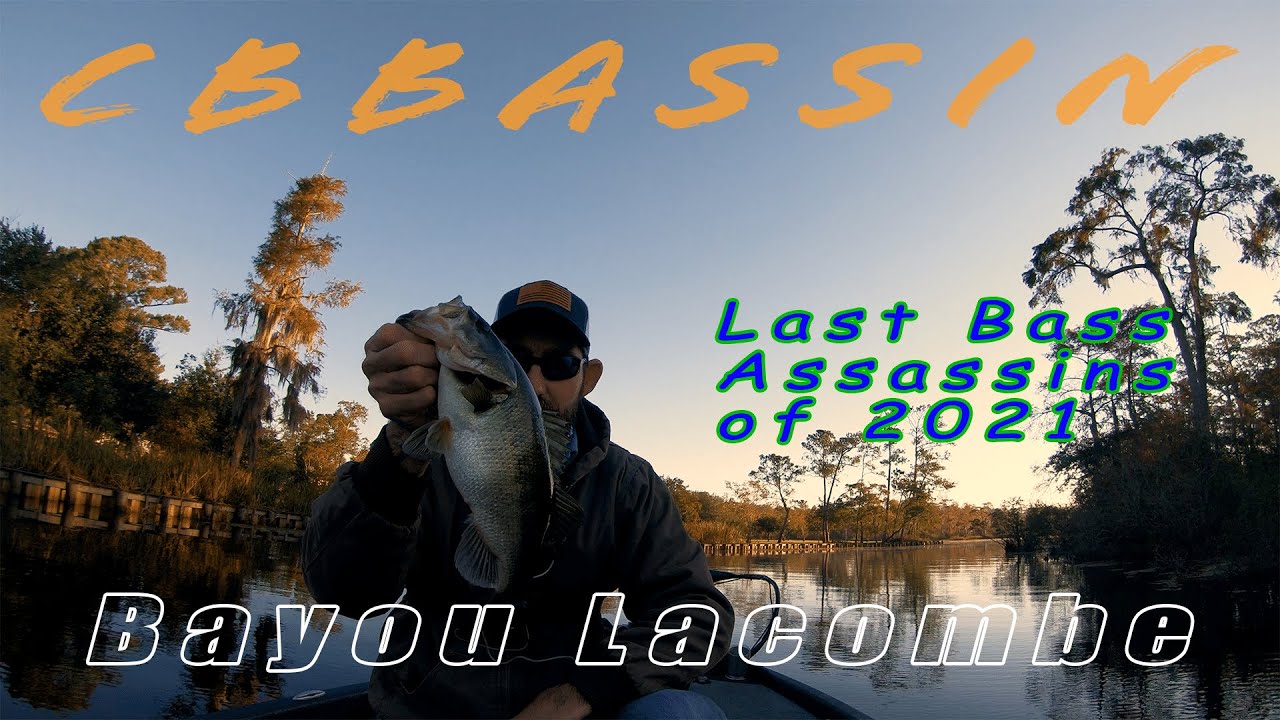 Bayou Bass Fishing YouTube
