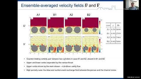 Guang Yang - InterPore2020 Invited Lecture - September 02, 2020