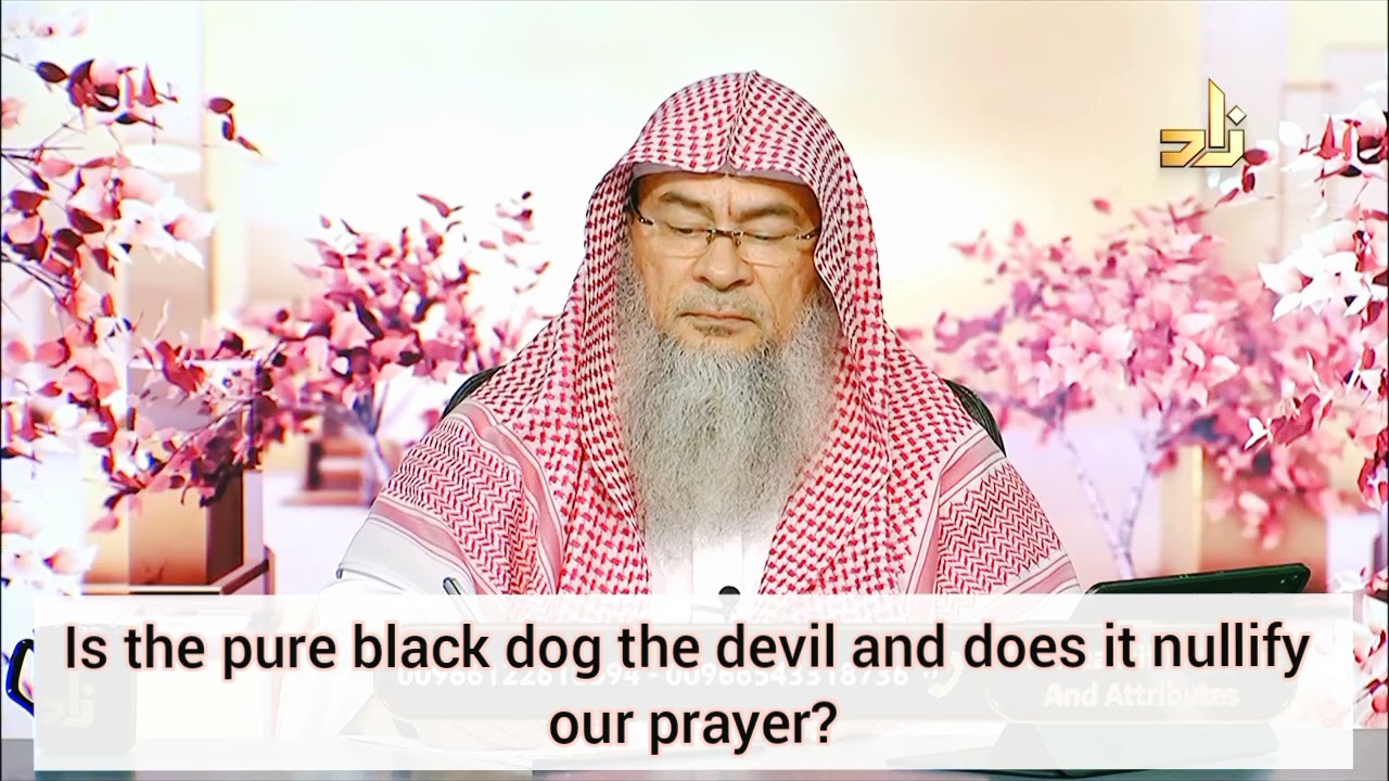 Is the pure black dog the devil & does it nullify our prayer? - Assim al hakeem