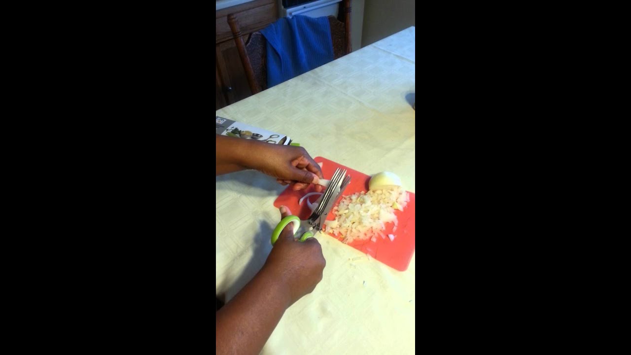 iLoveBBQMulti-functional Stainless Steel Herb Scissors with 5 Blades