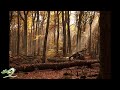 Amazing grace  relaxing harp music  instrumental traditional music 9