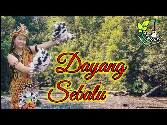 Dayang Sebalu - Tajau  Cover Ukulele By Seno Skt class=