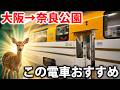【近鉄特急】大阪→奈良でたまに走るビスタカー乗ってみた!