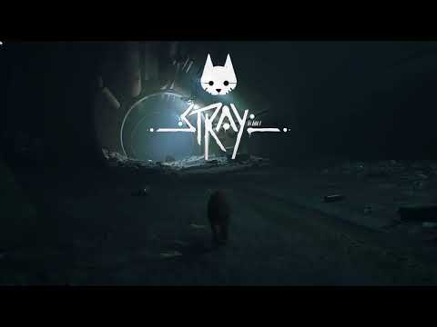 【MAD】『Stray』× 暗く黒く/ずっと真夜中でいいのに。
