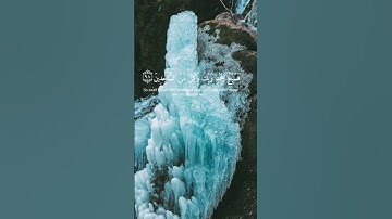 قرآن كريم {إنا كفيناك المستهزئين} بصوت الشيخ اسلام صبحي