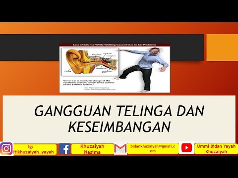 Video: Efek Dari Umpan Balik Supraspinal Pada Gaya Berjalan Manusia: Distorsi Pendengaran Berirama