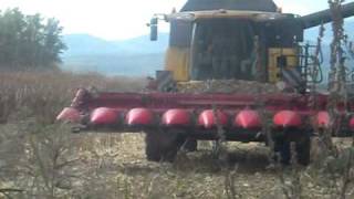moisson de mais 2011