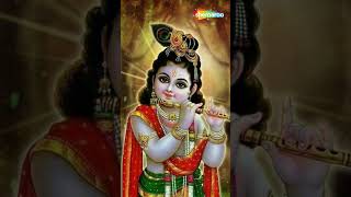 Watch on YouTube