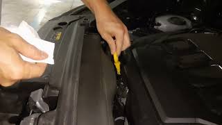 How to Check Engine Oil on a VW Tiguan (2018 - 2024, 2023 shown)