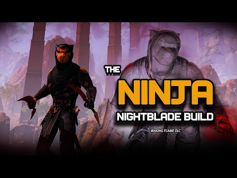 ESO - The Ninja - Thief/Murder Stamina Nightblade PVE Build (Waking Flame)