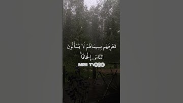ماهر المعيقلي - سورة البقرة ( برواية حفص عن عاصم ) الأية 273