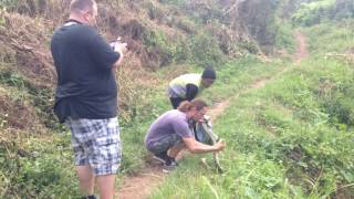 Release Reticulated python