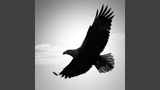 Midnight Borrowed Our Shadows