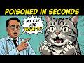 🐱 14 Deadly Foods: A Cat's Worst Nightmare!
