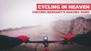 Cycling in Heaven: Visiting Benguet's Sakura Park