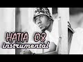 Hatia 08 Instrumental Dizastavina