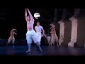 Matthew Bourne΄s Swan Lake, 2012 - swan dance - long