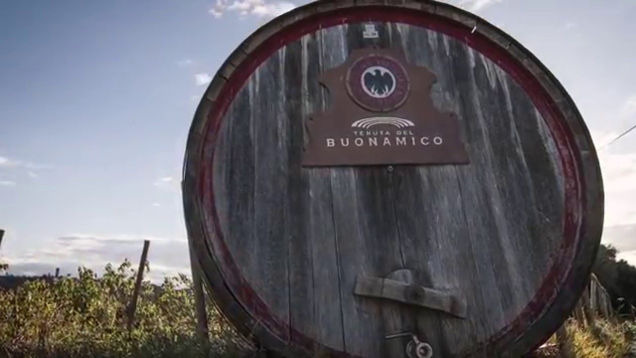 Tenuta del Buonamico, Cantina