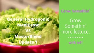 Update 1 Comparison grow: MaxiGrow VS MasterBlend Hydroponic Nutrients.