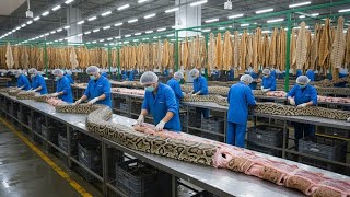 Inside the Snake-Leather Factory: From Snake Skin to Luxury Jacket (Full Process with Explanation)