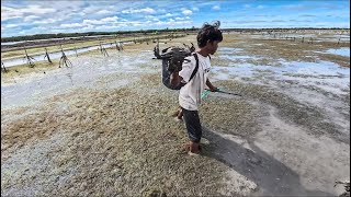 Butuh kesabaran untuk berburu kepiting di sini 🦀