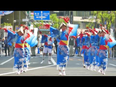 ドリーム夜さ来いオフィシャルチーム　（2017銀座柳まつり・伝統舞踊広場・"正調"）