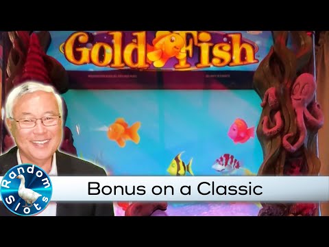 Classic Gold Fish Slot Machine Bonus