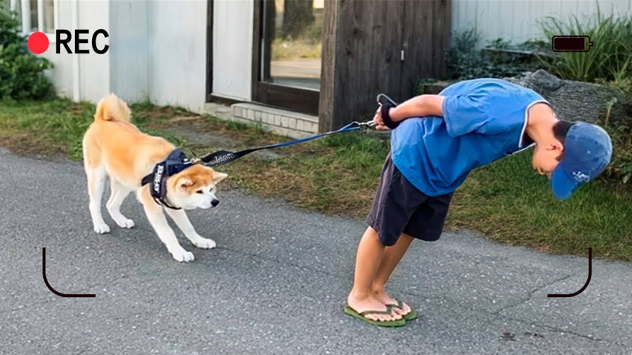 鏡頭裏的他們總是懷疑、自己養的究竟是個什麽東西！！！ ( _ _)ﾉε:)