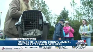 Friends of Jackson Co. Animal Shelter Pets transports pets north
