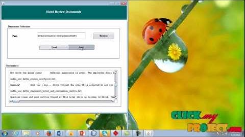 Final Year Projects | Identifying opinion feature vis intrinsic and extrinsic domain relevance