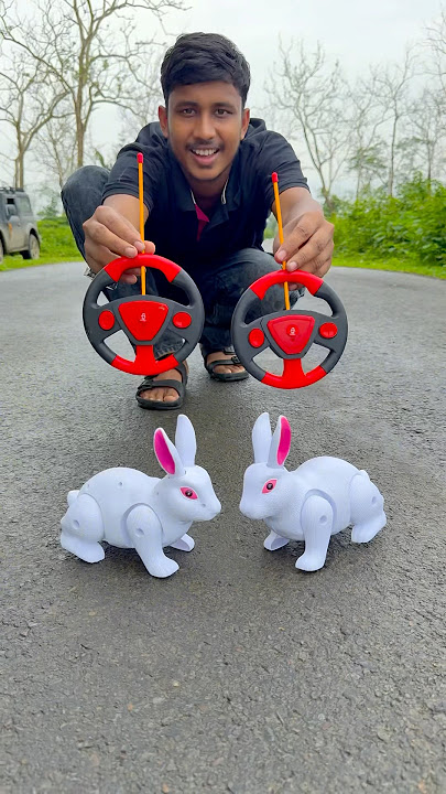 Remote control rabbit na eta 😀