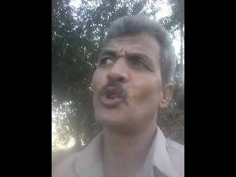 الشاعرابواحمد عزران حضرت الرسول