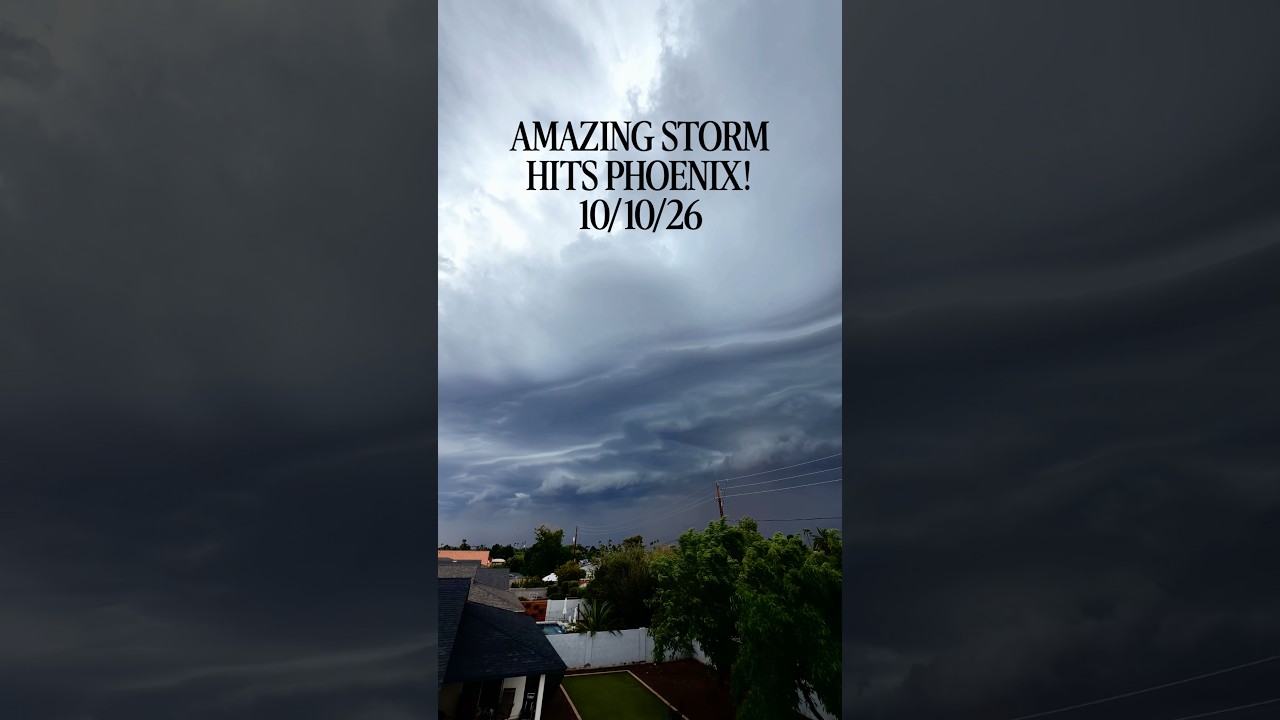 Just now! The husky loved it #noai #haboob #shelfcloud