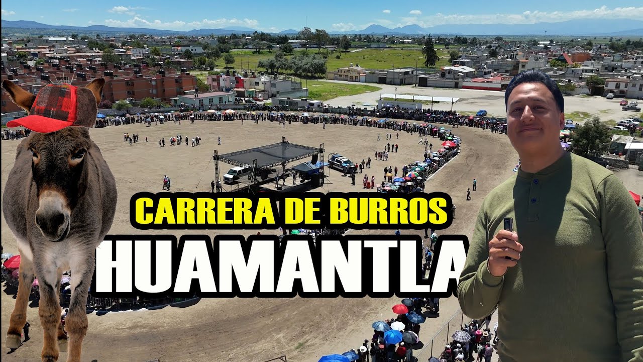 CARRERA DE BURROS EN HUAMANTLA 2025/ CAPSULA AIDAN