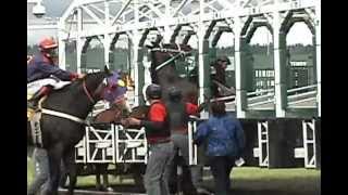 Trouble in the Gate