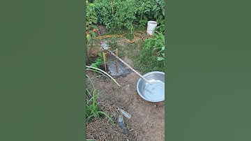 Ingenious and environmentally friendly bird repellent method - hydraulic device